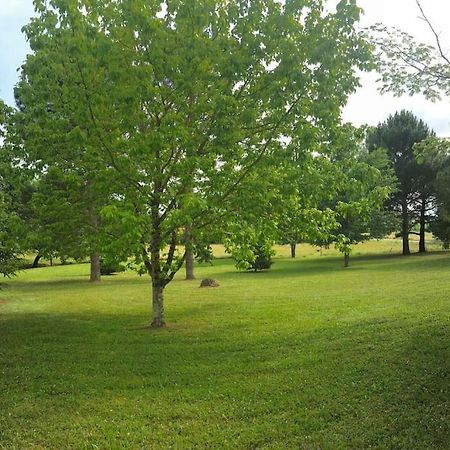 Une Pause Nature Chez Marion Et Cedric Montignac-Toupinerie Buitenkant foto