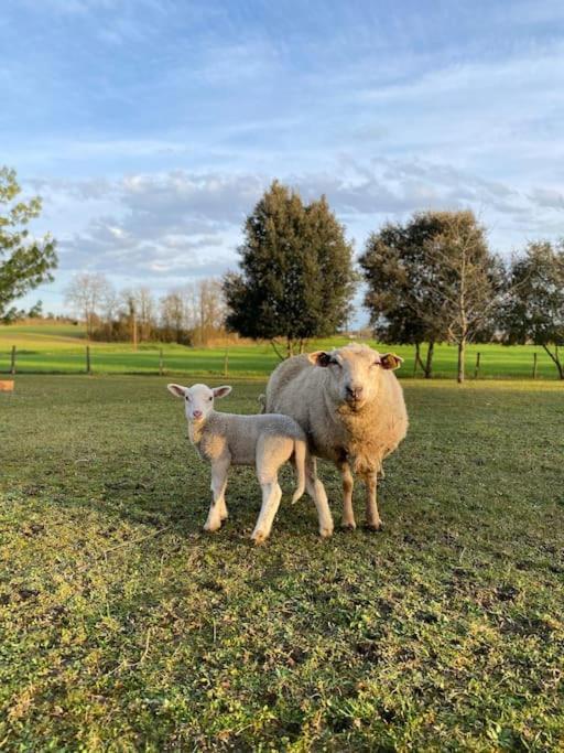 Une Pause Nature Chez Marion Et Cedric Montignac-Toupinerie Buitenkant foto